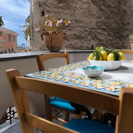 The House Of Flowers Apartamento