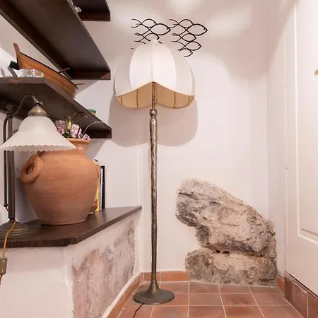 The House Of Flowers Apartamento